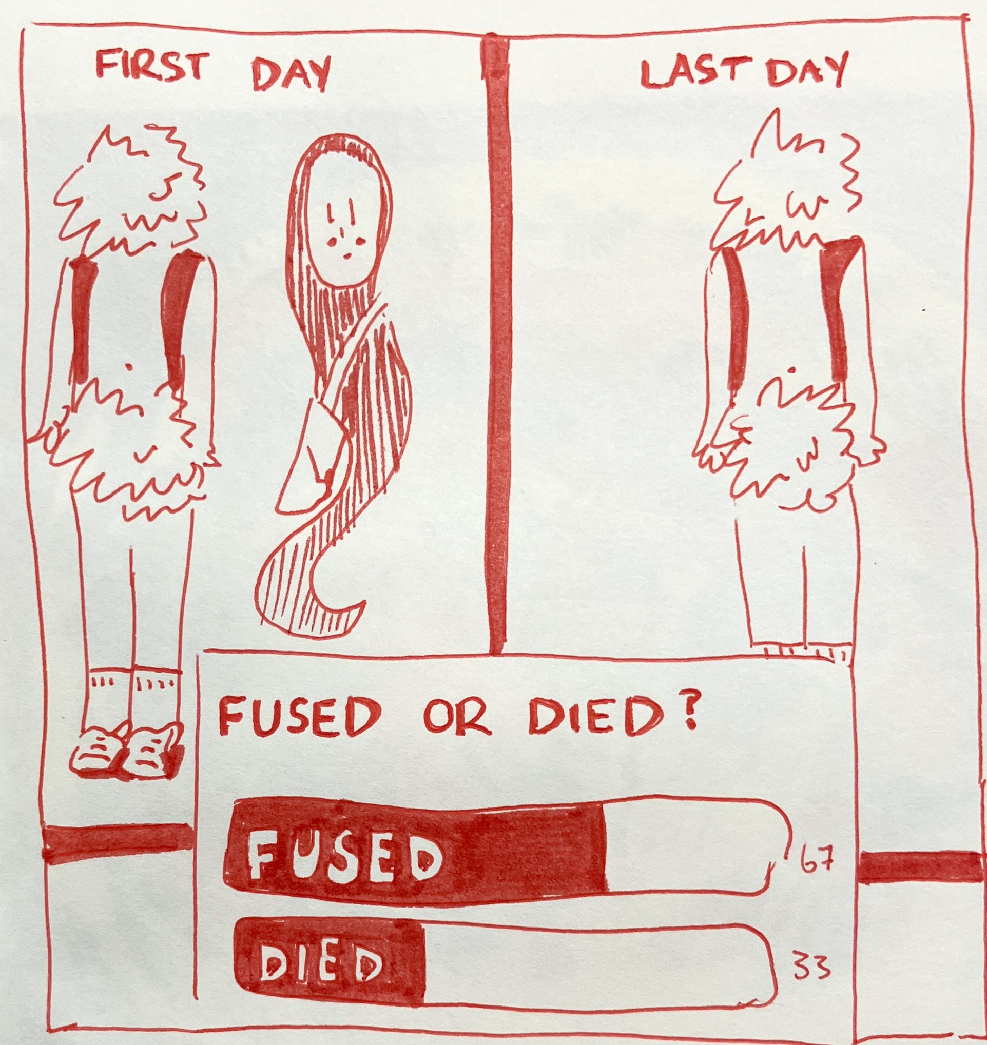 a red ink drawing on white paper.
                                    Two side-by-side portraits are juxtaposed.
                                   In the first, titled 'First Day' Tor and Ghost stand next to one another. Tor is wearing socks and a backpack.
                                   In the second picture, title 'Last Day,' only Tor stands there.
                                   A question asks: fused or died
                                   In a poll beneath it, fused is winning by 67%