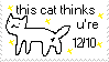 this cat thinks you're 12/10