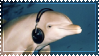 dolphin with headphones on