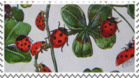 ladybugs on clover