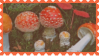 mushrooms